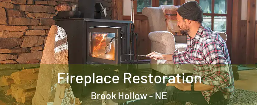 Fireplace Restoration Brook Hollow - NE