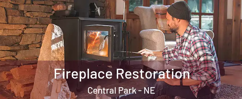 Fireplace Restoration Central Park - NE
