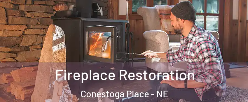 Fireplace Restoration Conestoga Place - NE
