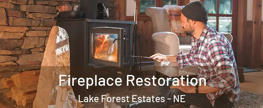 Fireplace Restoration Lake Forest Estates - NE