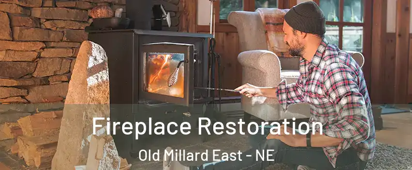 Fireplace Restoration Old Millard East - NE