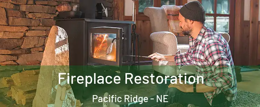 Fireplace Restoration Pacific Ridge - NE