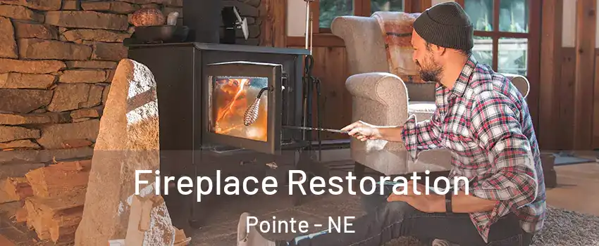 Fireplace Restoration Pointe - NE