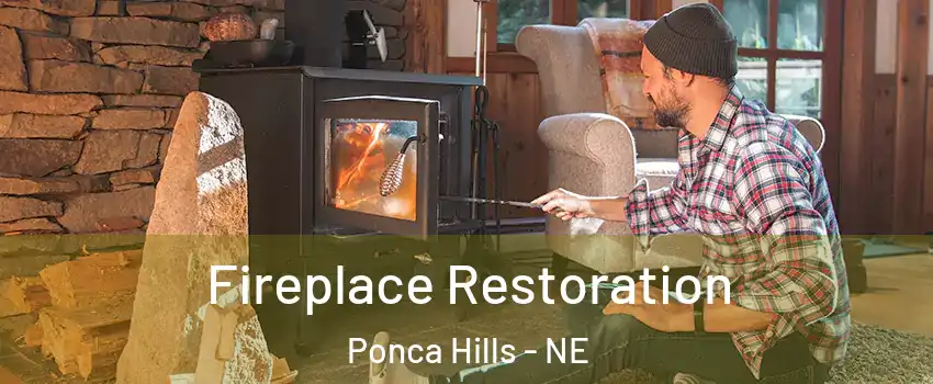 Fireplace Restoration Ponca Hills - NE