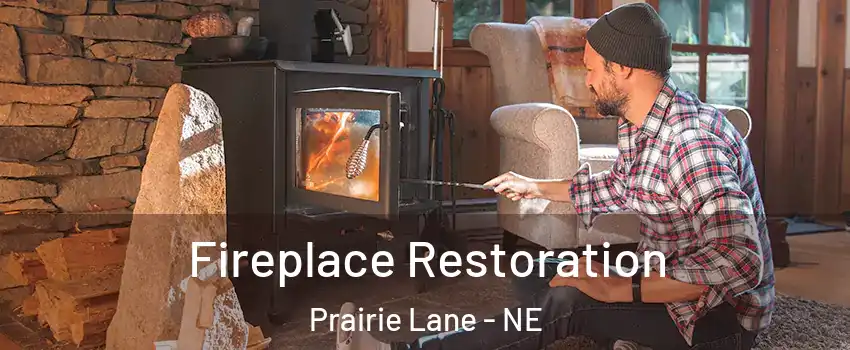 Fireplace Restoration Prairie Lane - NE