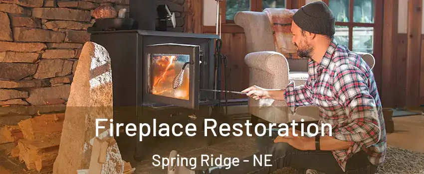 Fireplace Restoration Spring Ridge - NE