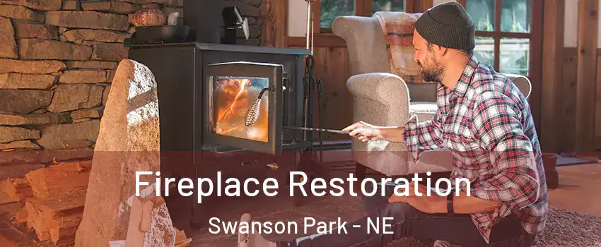 Fireplace Restoration Swanson Park - NE