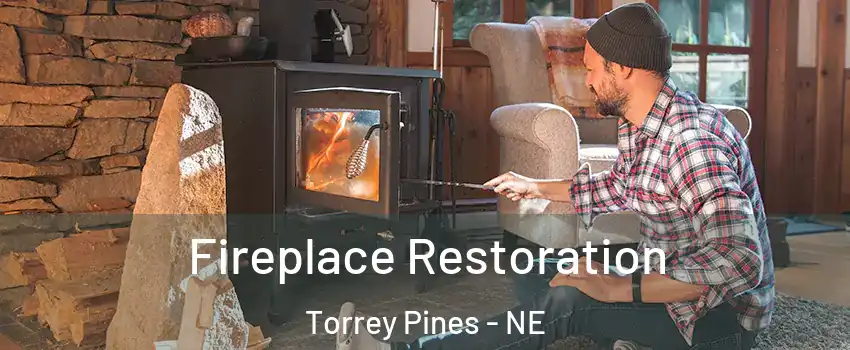 Fireplace Restoration Torrey Pines - NE