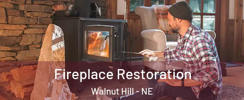 Fireplace Restoration Walnut Hill - NE