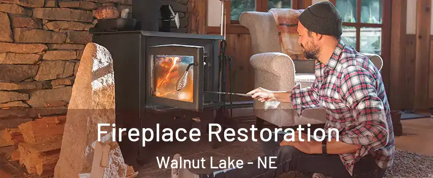 Fireplace Restoration Walnut Lake - NE