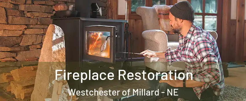 Fireplace Restoration Westchester of Millard - NE