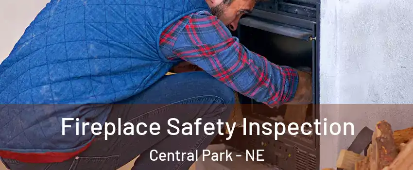 Fireplace Safety Inspection Central Park - NE