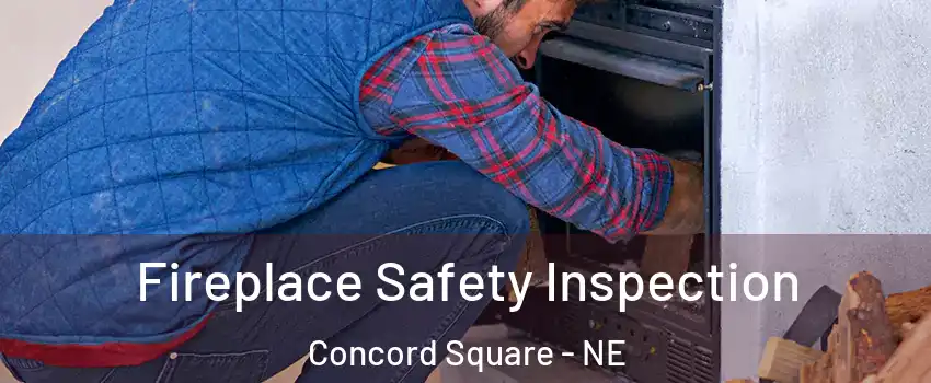 Fireplace Safety Inspection Concord Square - NE