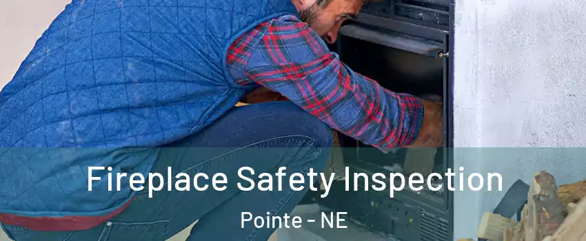 Fireplace Safety Inspection Pointe - NE