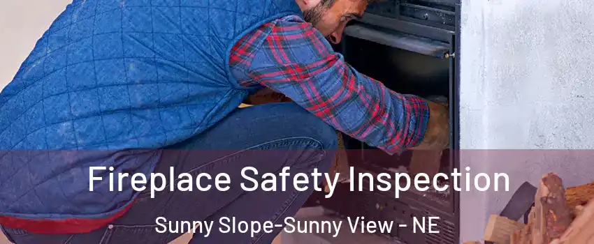 Fireplace Safety Inspection Sunny Slope-Sunny View - NE