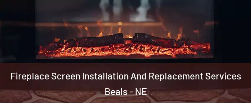 Fireplace Screen Installation And Replacement Services Beals - NE