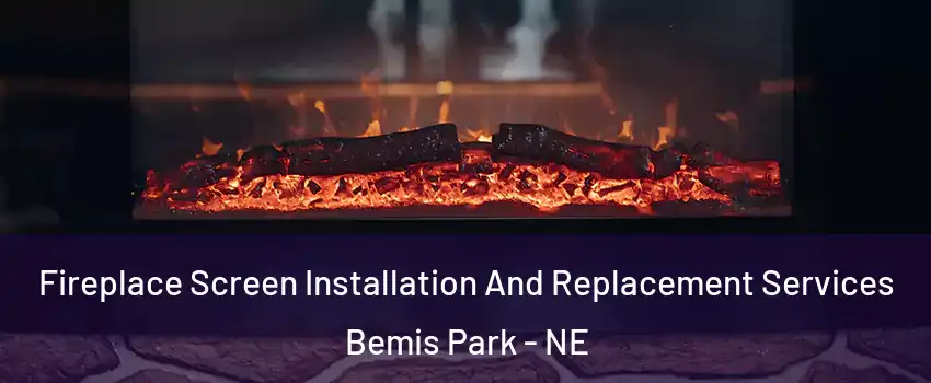 Fireplace Screen Installation And Replacement Services Bemis Park - NE