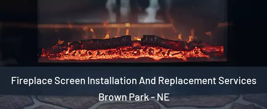 Fireplace Screen Installation And Replacement Services Brown Park - NE