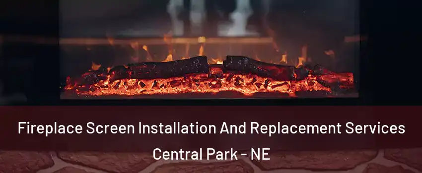Fireplace Screen Installation And Replacement Services Central Park - NE