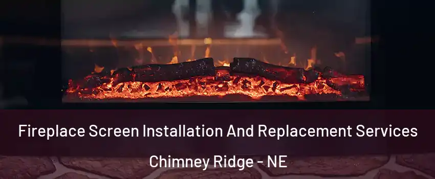 Fireplace Screen Installation And Replacement Services Chimney Ridge - NE