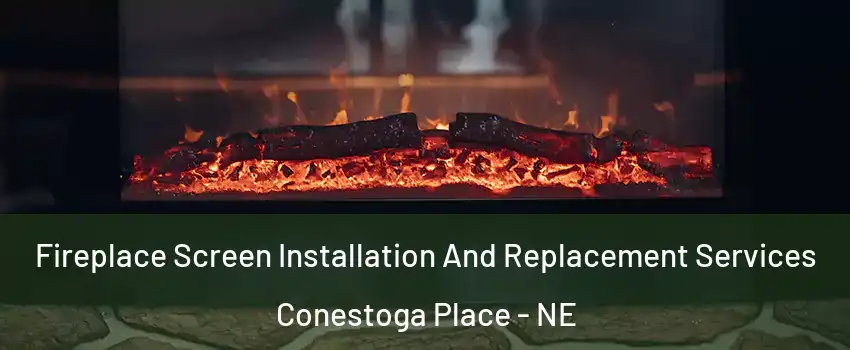 Fireplace Screen Installation And Replacement Services Conestoga Place - NE