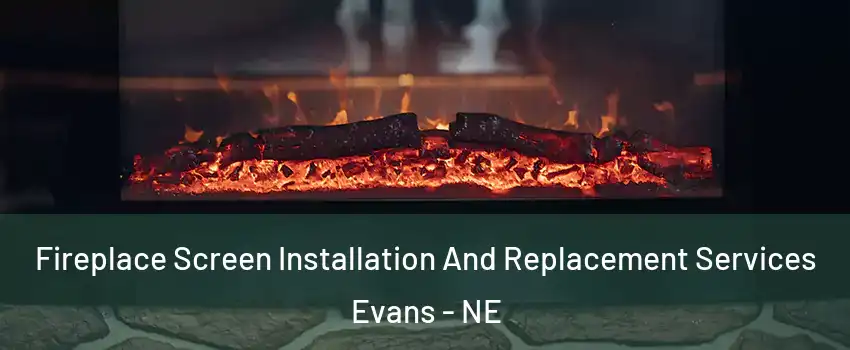 Fireplace Screen Installation And Replacement Services Evans - NE