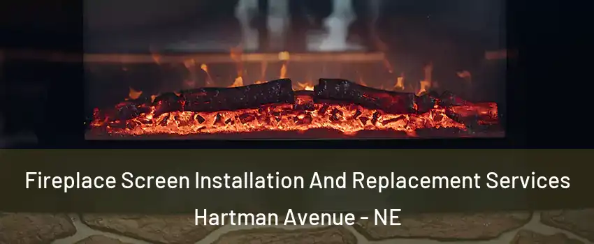 Fireplace Screen Installation And Replacement Services Hartman Avenue - NE
