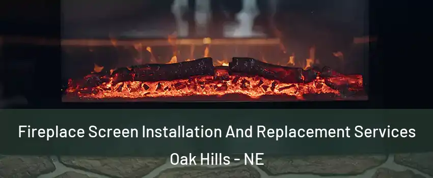 Fireplace Screen Installation And Replacement Services Oak Hills - NE