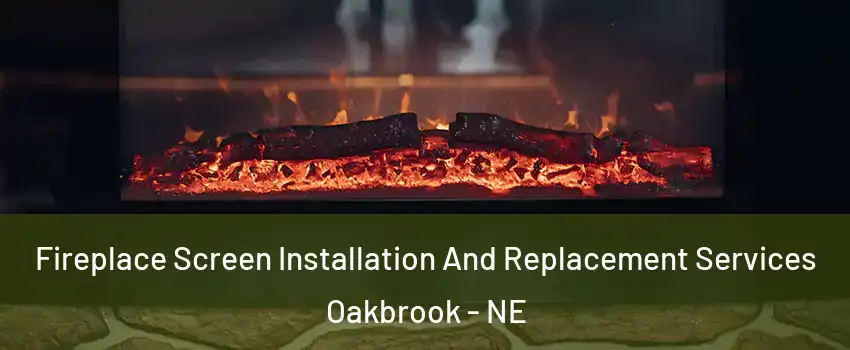 Fireplace Screen Installation And Replacement Services Oakbrook - NE