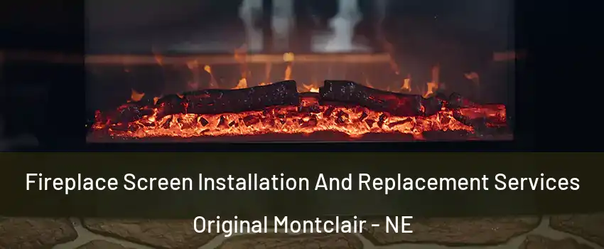 Fireplace Screen Installation And Replacement Services Original Montclair - NE