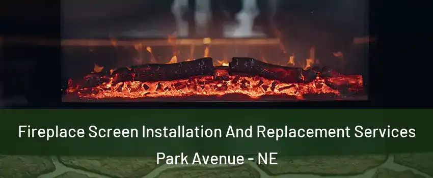 Fireplace Screen Installation And Replacement Services Park Avenue - NE