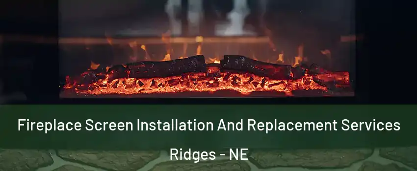 Fireplace Screen Installation And Replacement Services Ridges - NE