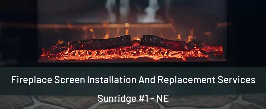 Fireplace Screen Installation And Replacement Services Sunridge #1 - NE