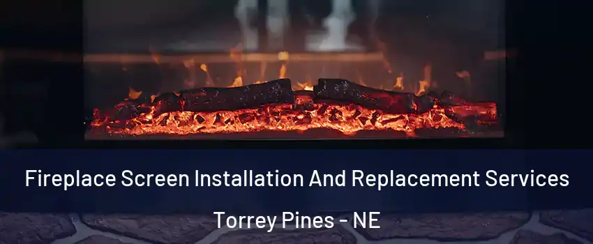 Fireplace Screen Installation And Replacement Services Torrey Pines - NE