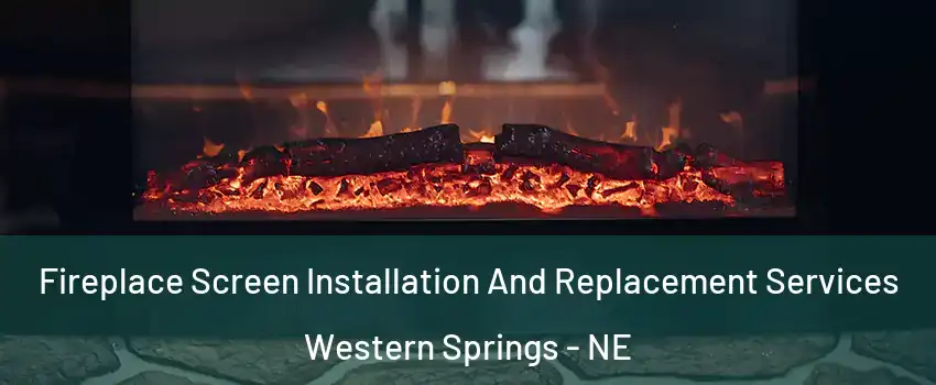 Fireplace Screen Installation And Replacement Services Western Springs - NE