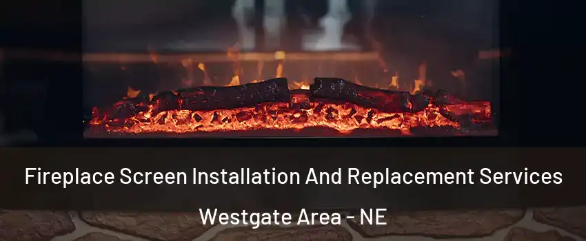 Fireplace Screen Installation And Replacement Services Westgate Area - NE