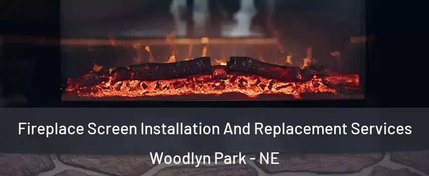 Fireplace Screen Installation And Replacement Services Woodlyn Park - NE
