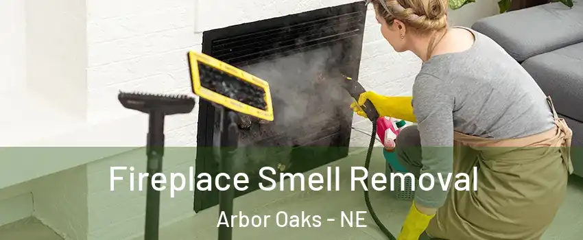 Fireplace Smell Removal Arbor Oaks - NE