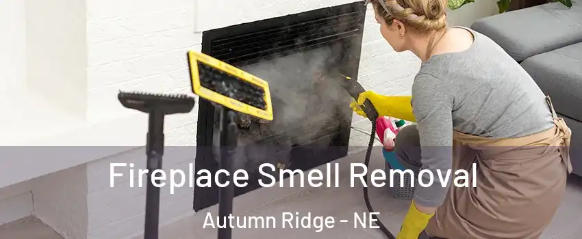 Fireplace Smell Removal Autumn Ridge - NE