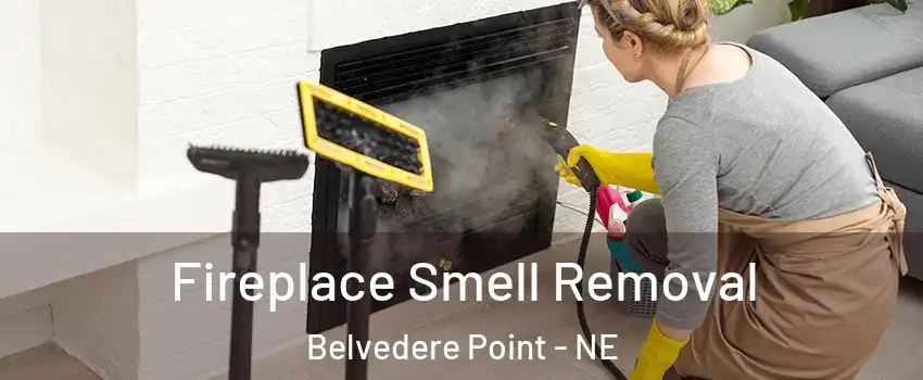 Fireplace Smell Removal Belvedere Point - NE