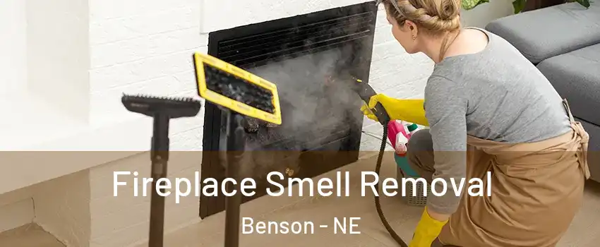 Fireplace Smell Removal Benson - NE