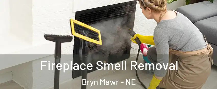 Fireplace Smell Removal Bryn Mawr - NE