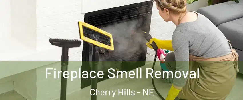 Fireplace Smell Removal Cherry Hills - NE