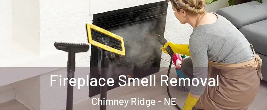 Fireplace Smell Removal Chimney Ridge - NE