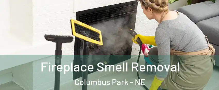 Fireplace Smell Removal Columbus Park - NE