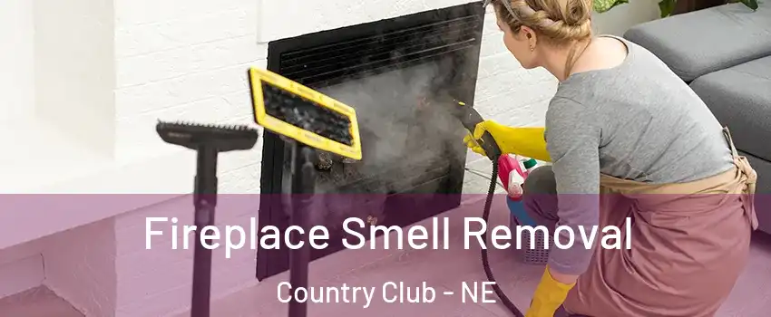 Fireplace Smell Removal Country Club - NE