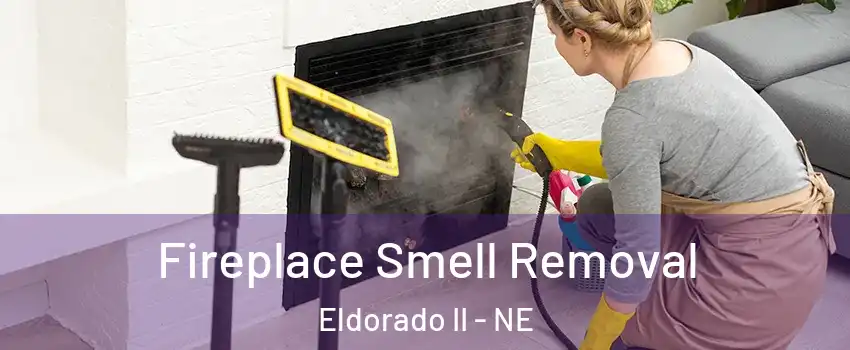 Fireplace Smell Removal Eldorado II - NE