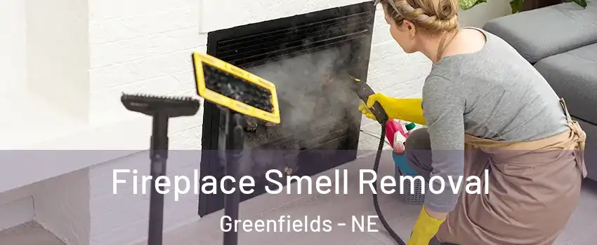 Fireplace Smell Removal Greenfields - NE