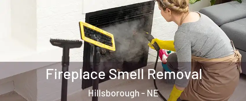 Fireplace Smell Removal Hillsborough - NE