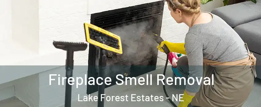 Fireplace Smell Removal Lake Forest Estates - NE